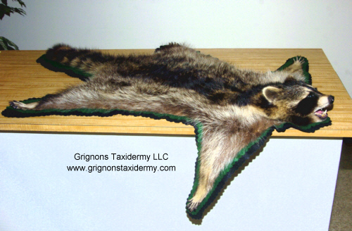 raccoon rug